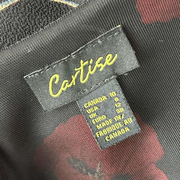 Cartise Black Red Poppy Double-Layer Pleated Chiffon Blouse – US 8 - Picture 12 of 12